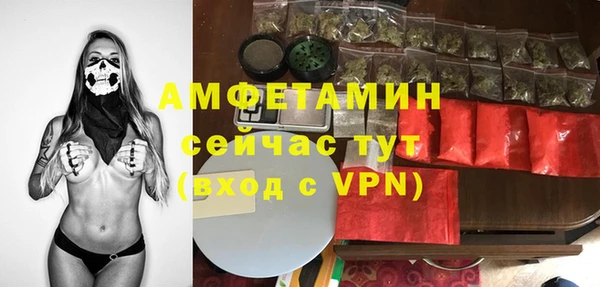 индика Бугульма