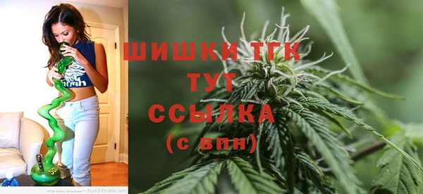 индика Бугульма